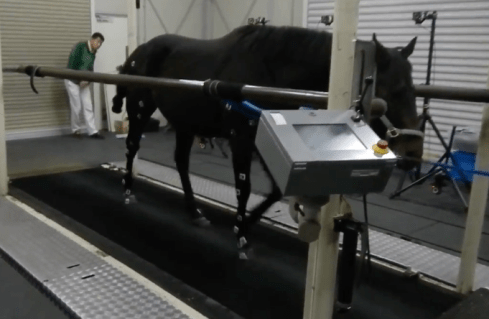 Screen Shot 2018-11-06 at 12.30.19 pm