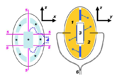 Smart Ball System A Look At Smart Balls – Sports Technology Blog